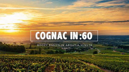 Cognac in :60 - Liquor.com