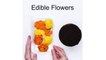 Trick Recipes - Flower Pot Cake Recipe - Cake Hacks - Easy DIY Dessert Recipes Ideas