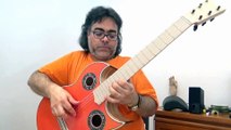 Simplicio 1932a  (affordable cut Ash away) with symmetrical Wittner Pegs /Andalusian Guitars Sp
