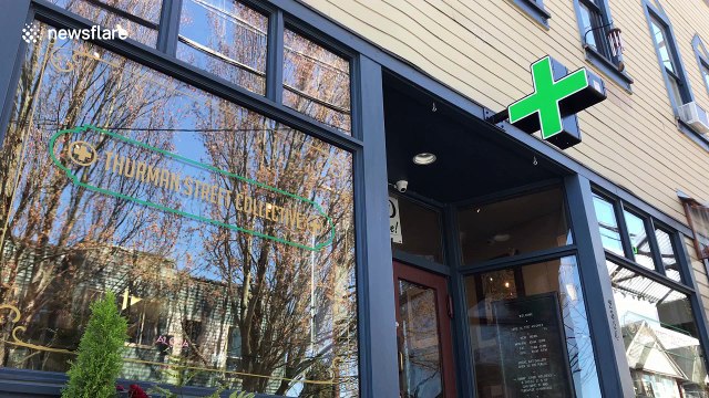 Cannabis dispensaries peddle their wares for Weed Day revelers