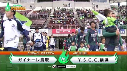 ガイナーレＴＲＩＢＥ