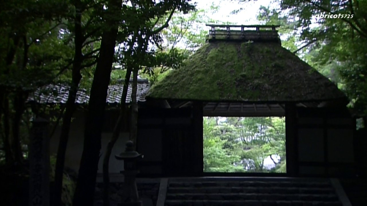 Hōnen-in, Kyoto
