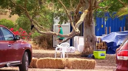 House Rules S03 E23 #23