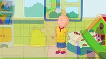 Caillou en Español | La camiseta favorita de Caillou | Dibujos Infantiles Capitulos Completos