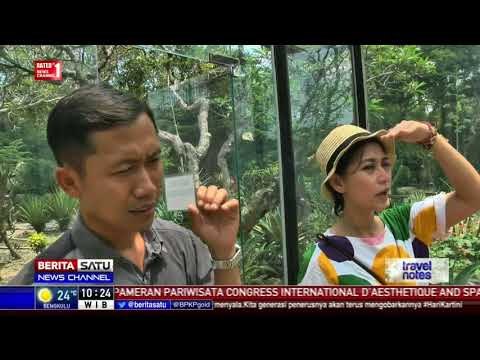 Travel Notes: Jalan-jalan di Kebun Raya #3