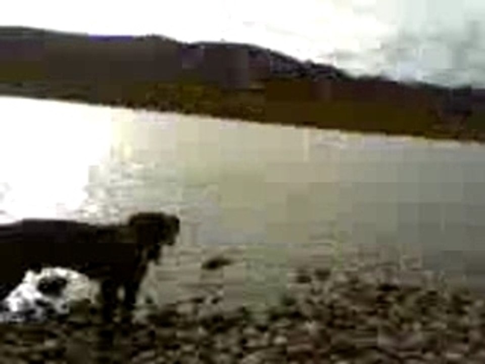 Video-0014