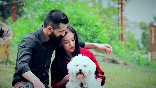 Hesen Nergis Lele Xezalê