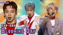 [HOT] EXO-CBX - Blooming Day, 엑소-첸백시 - 花요일 Show Music core 20180421