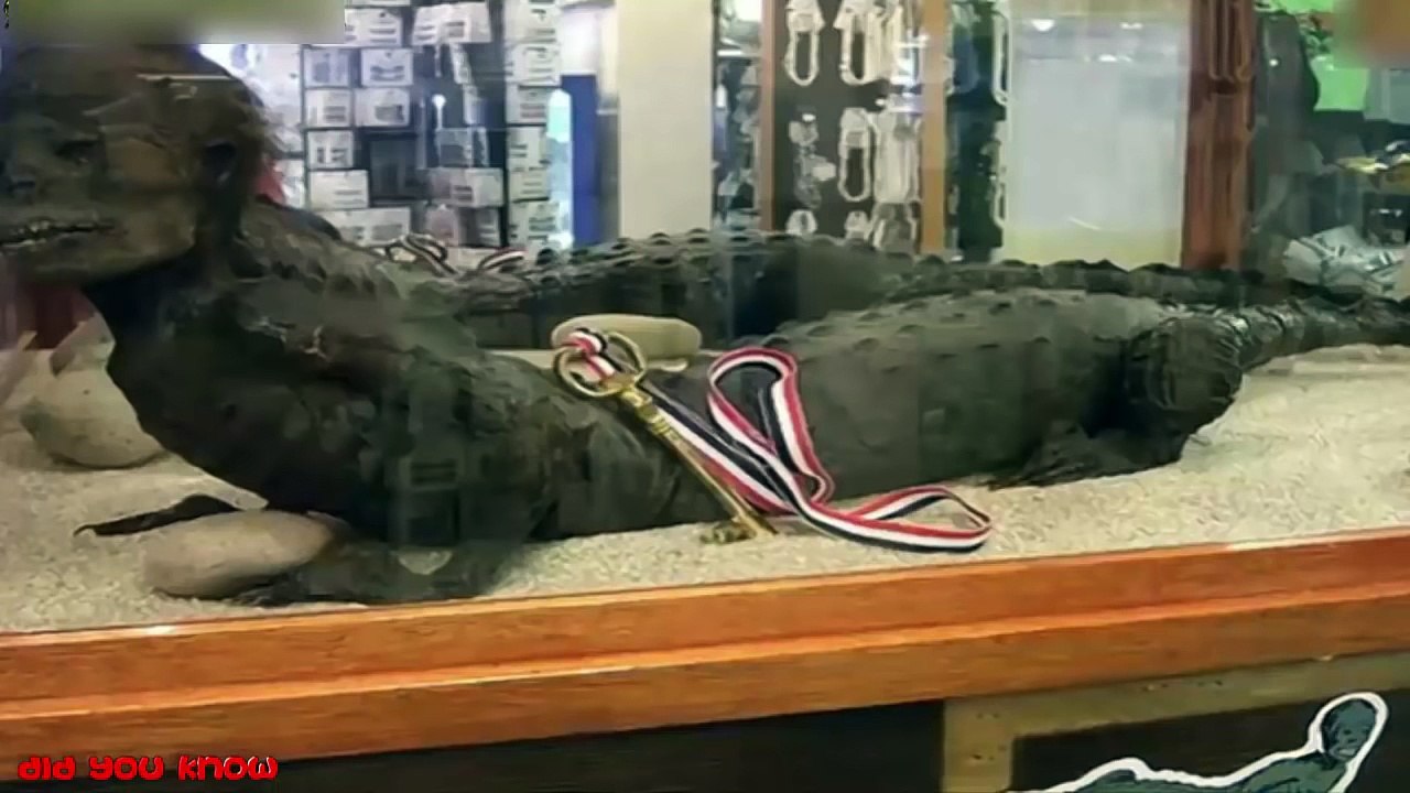 10 مقاطع لمخلوقات غريبة التقطتها الكاميرا _ أقوى مقاطع ظهور حورية البحر #4