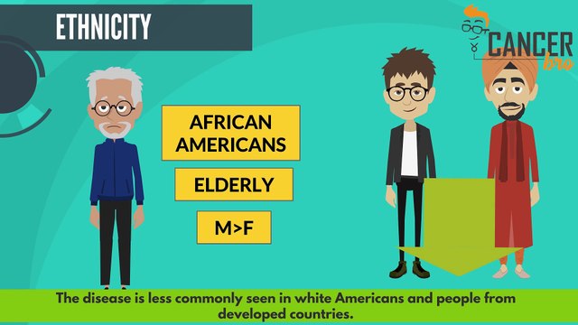 Pancreatic cancer risk factors explained by CancerBro