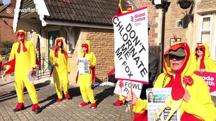 Role reversal: chickens chase (Liam) Fox