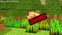Minecraft Animation -  Minecraft Funny Animations - Funniest Minecraft Animations 2017!