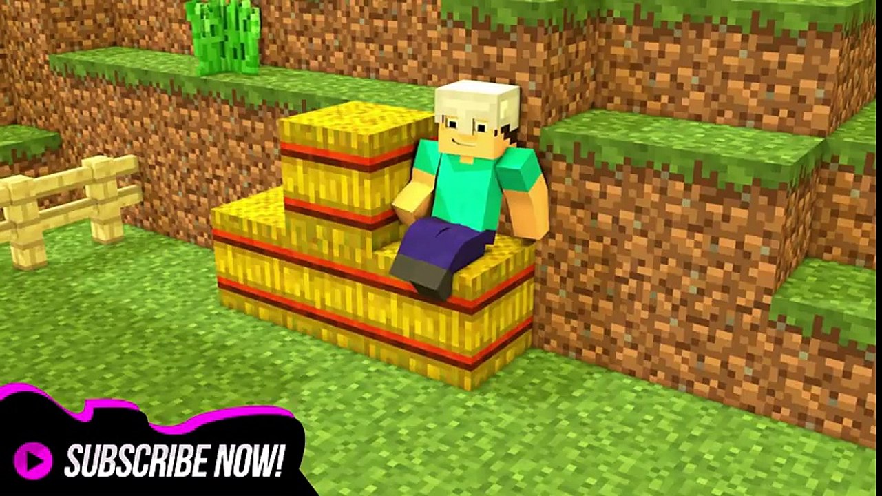 minecraft animation - CRAZY STEVE!