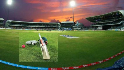 ECB Unveils Plans For Tournament With 100-Ball Format