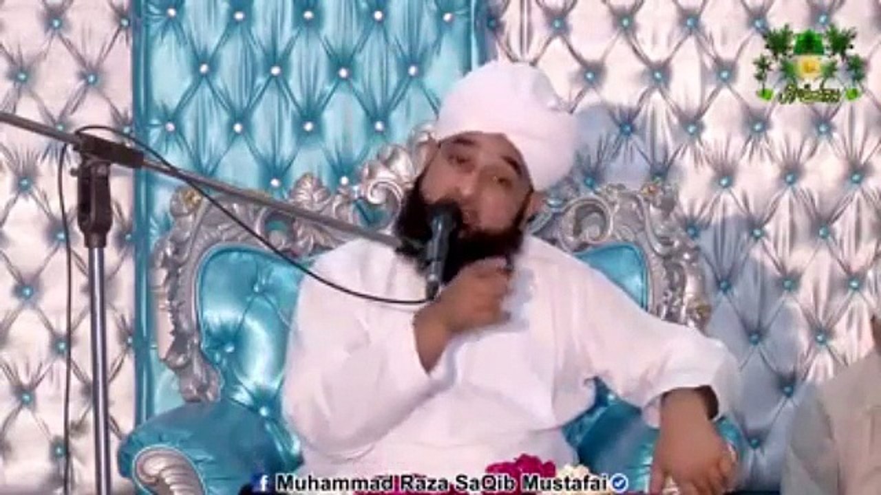 Muhammad Raza Saqib Mustafai (295)