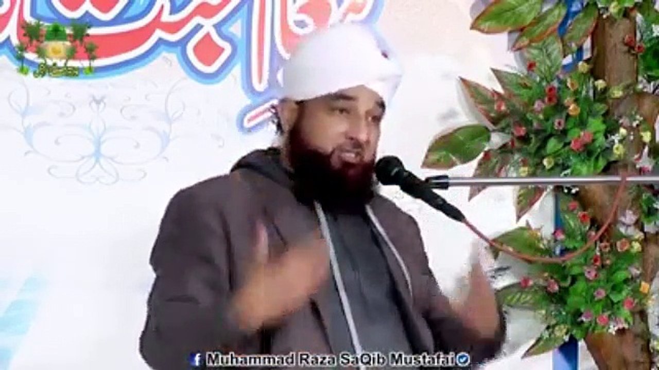 Muhammad Raza Saqib Mustafai (296)
