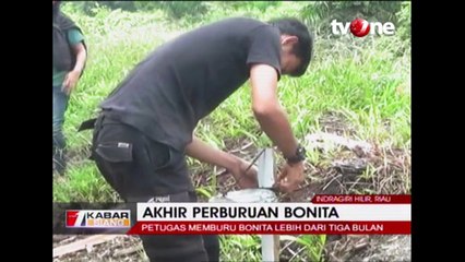 Akhir Perburuan Harimau  Bonita