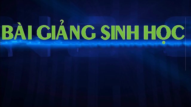 Bài tập di truyền người - Phả hệ Sinh học 9 BD HSG và Ôn thi THPT chuyên Sinh - Bài 3