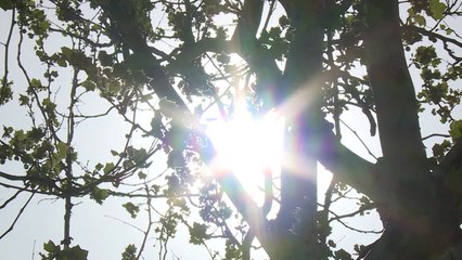 영동·영남은 한여름...삼척 33.7도, 포항 33도 / YTN