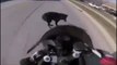 Ce motard chute lourdement en essayant d'éviter un chien... Beau geste
