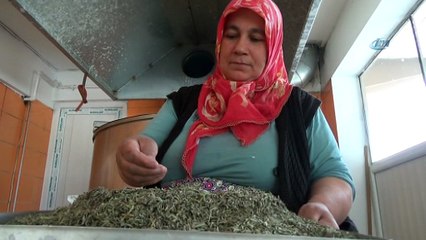 Tarhananın ünü sınırları aştı...Kanada’ya tarhana ihracatı