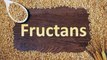 What Are Fructans? Foods To Have On A Low Fructan Diet | Boldsky