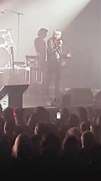 {Concert} {4K} Renaud Docteur Renaud Mister Renard Live Zénith Paris 29 Oct 2016