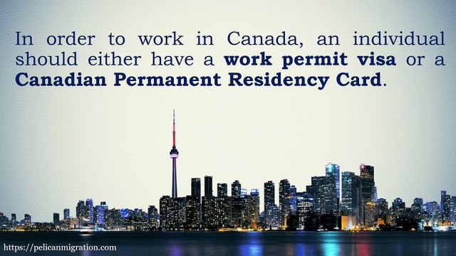 Job opportunities in Canada for immigrants - Pelican Migration