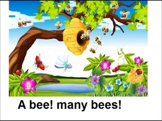 Class 3 English, 7 Long vowels