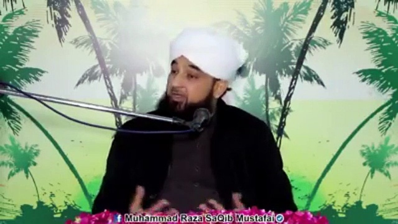 Muhammad Raza Saqib Mustafai (308)