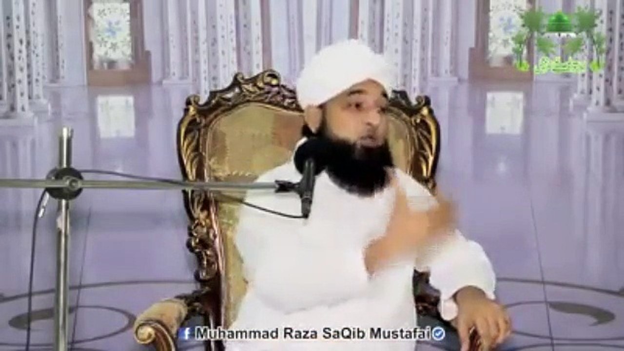 Muhammad Raza Saqib Mustafai (313)