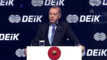 Cumhurbaşkanı Erdoğan: '(OHAL) Bu, terörle mücadele için kullanılmış bir yoldur' - İSTANBUL