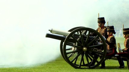 Gun salutes at Tower of London and Hyde Park mark Queen's birthday