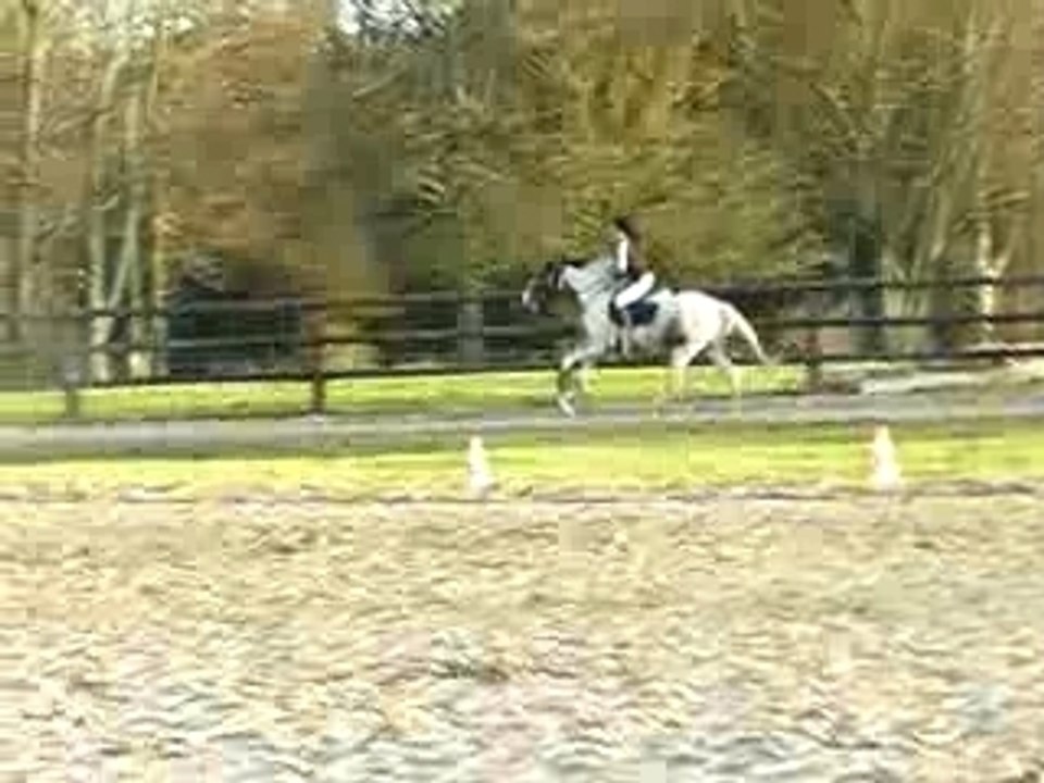 Saut 80, 80, 90 cm