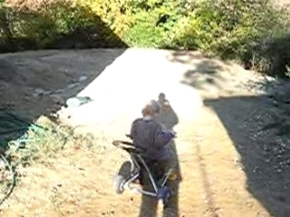 Une petite promenade dans le jardin