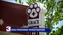Tennessee Man Says Someone Poisoned His Dog