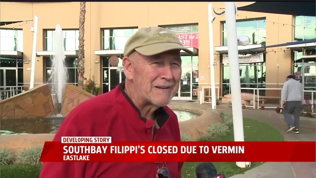 Popular Pizza Restaurant Forced to Shut Down Over `Vermin Infestation`