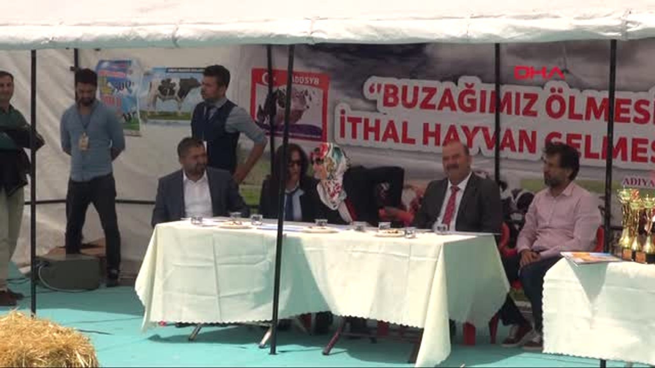 Adıyaman'da Buzağı Güzellik Yarışması Düzenlendi
