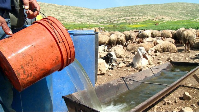 Israel control of Palestinian water supply hits farmers