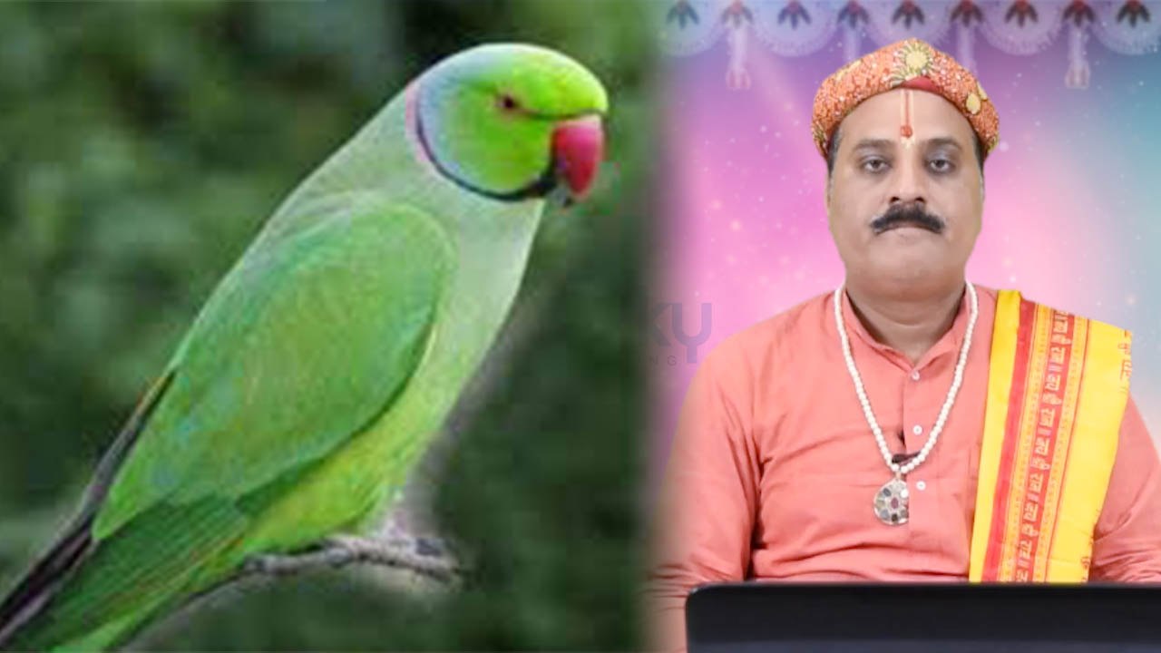 तोते का ऐसा चित्र दिलाएगा मुसीबतों से छुटकारा | Astro Tips to get rid of Problems | Boldsky