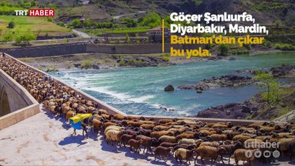 Göçerlerin asırlardır süren çileli yolculuğu