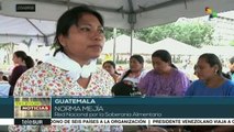 Guatemala:organizaciones campesinas realizan feria de semillas nativas