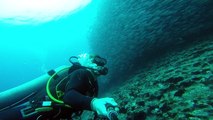 AMAZING! SCUBA DIVER GETS LOST IN ENOURMOUS SKOOL OF FISH