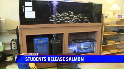 Michigan Students Release Hand-Raised Salmon into Grand River