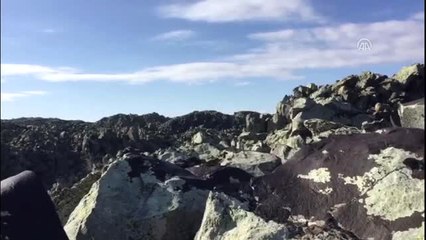 Ağrı'da Kırmızı Listedeki PKK'lı Terörist Etkisiz Hale Getirildi