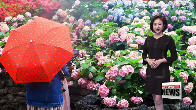 Rain and chilly weather until tomorrow _ 042318