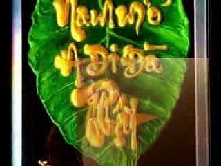 GIEO NHÂN NÀO GẶT  QUẢ ĐÓ ….. BÀI HÁT HAY LẮM ……..CÓ NHIỀU Ý NGHĨA