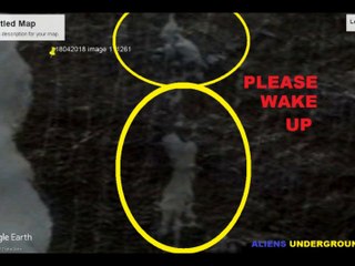 Antarctica This Can't Wait Till Tomorrow