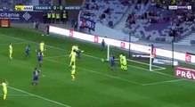 Toulouse 2-0 Angers - les Buts - 21.04.2018