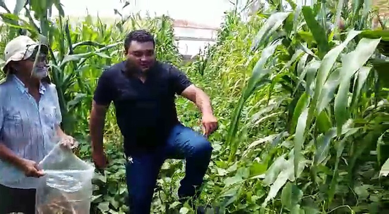 Profeta das chuvas